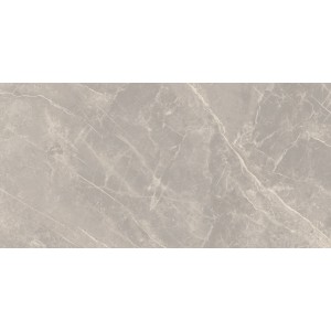CERIM PIERRE ÉLÉMENTAIRE GRIS DOLOMITE NATUREL 60X120