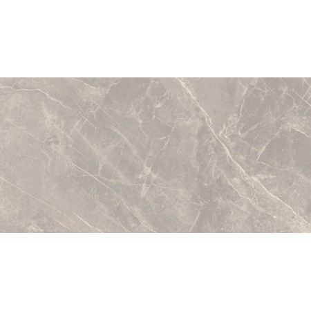 CERIM PIERRE ÉLÉMENTAIRE GRIS DOLOMITE NATUREL 60X120
