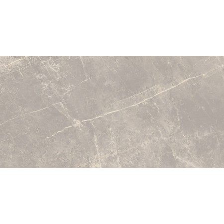 CERIM PIERRE ÉLÉMENTAIRE GRIS DOLOMITE BRILLANT 60X120