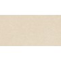 CREME DE PIERRE ELEMENTAL SABLE LUCIDE 30X60