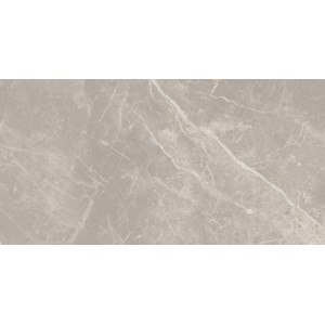 CERIM ELEMENTAL Pierre Grise Dolomia Brillante 30X60