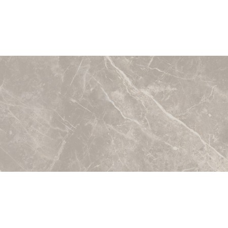 CERIM ELEMENTAL Pierre Grise Dolomia Brillante 30X60