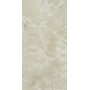 CERIM EXALT OYSTER TEINTE NATURELLE 60X120