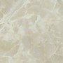 CERIM EXALT OYSTER TEINTE BRILLANTE 60X60