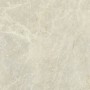 CERIM EXALT AMBRE SYMPHONIE LUCIDE 60X60