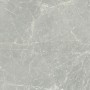 CERIM EXALT LUMIÈRE ARGENT NATURELLE 60X60