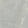 CERIM EXALT LUMIÈRE ARGENT NATURELLE 60X60