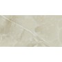 CERIM EXALT OYSTER TEINTE NATURELLE 30X60