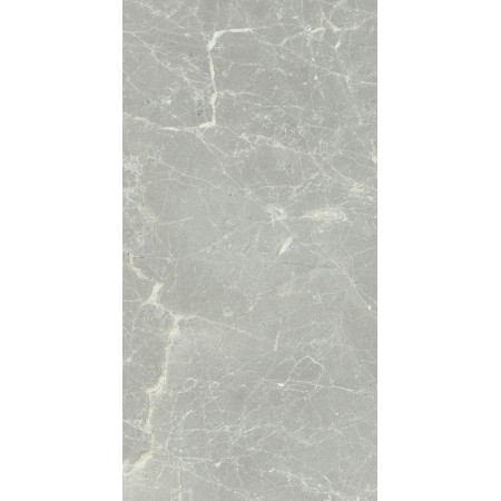 CERIM EXALT ARGENT LUMINEUX BRILLANT 30X60