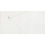 CERIM TIMELESS CALACATTA BRILLANT 60X120