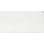 CERIM TIMELESS CALACATTA NATUREL 60X120