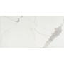 CERIM TIMELESS CALACATTA NATUREL 60X120