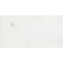 CERIM TIMELESS CALACATTA NATUREL 60X120