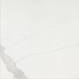 CERIM TIMELESS CALACATTA BRILLANT 60X60