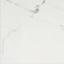 CERIM TIMELESS CALACATTA BRILLANT 60X60