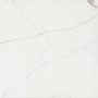 CERIM TIMELESS CALACATTA NATUREL 60X60
