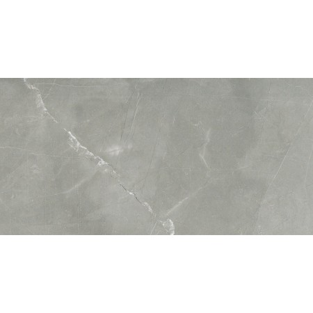 CERIM TIMELESS AMANI GRIS POIGNEE 30X60