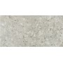 CERIM TIMELESS CEPPO DE GRÈ BRILLANT 60X120