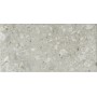 CERIM TIMELESS CEPPO DE GRÈ BRILLANT 60X120