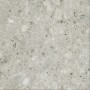 CERIM TIMELESS CEPPO DE GRÈ BRILLANT 60X60