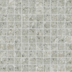 CERIM TIMELESS MOSAÏQUE CEPPO DI GRÈ BRILLANT 30X30