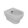 GSG BIDET SUSPENDU SPEED