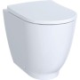 GEBERIT ACANTO VASO À POSER MUR SANS RIM + SIEGE SOFT CLOSE