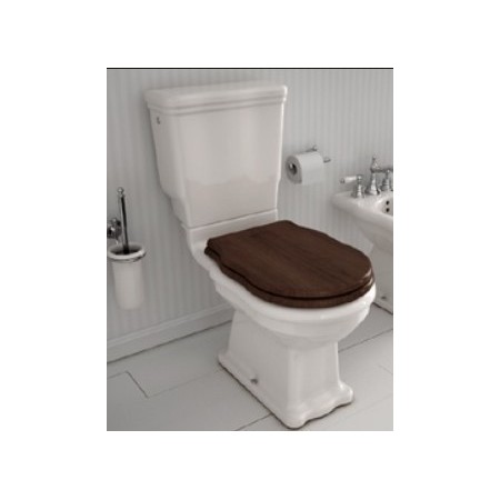 HIDRA WC MONOBLOC ELLADE RIMLESS AVEC ÉVACUATION MURALE