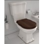 HIDRA WC MONOBLOC ELLADE RIMLESS AVEC ÉVACUATION MURALE