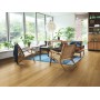 PERGO BERGEN CHÊNE DE COLOGNE 1380X156X8 mm BISEL SUR 4 CÔTÉS CLASSE 33 AC5