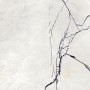 FLORIM - FLOOR GRES B&W BREACH NATUREL 60x60 RECTIFIÉ