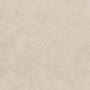 FLORIM - FLOOR GRES BUILDTECH/2.0 BUILD_BONE CE SOFT 60X60