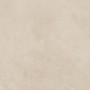 FLORIM - FLOOR GRES BUILDTECH/2.0 BUILD_BONE CE SOFT 60X60