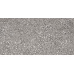 RAGNO CERAMICHE REALSTONE_LUNAR SILVER 30X60 RECTIFIÉ