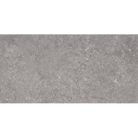 RAGNO CERAMICHE REALSTONE_LUNAR SILVER 30X60 RECTIFIÉ