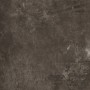 PLANT IRON 75X75 rectifié