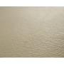 DISENIA PLANCHE DE DOUCHE EN TECHNOGEL CAPPUCCINO