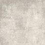 REFIN POUDRE DE PLANTE 60x60 RETT