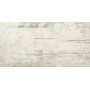 PLANT POWDER 30X60 rectifié