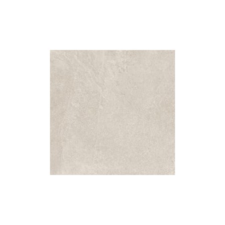 RAGNO CERAMICHE REALSTONE ARDOISE COQUILLE 60X60 RECTIFIÉ