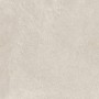 RAGNO CERAMICHE REALSTONE ARDOISE COQUILLE 60X60 RECTIFIÉ