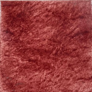 FISSORE.com DE MAIO ÉPONGE ROUGE 20X20 (STOCK)