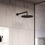Bras de douche